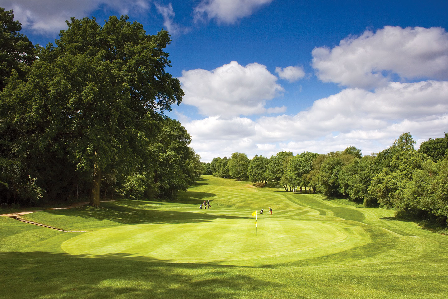 Gallery – Addington Palace Golf Club