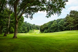 Hle 12 at Addington Palace Golf Club