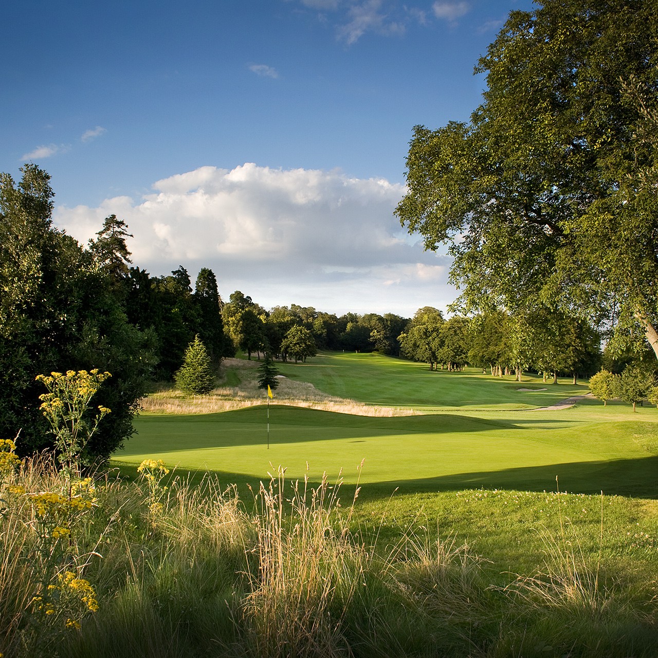 Hole 3 green at Addington Palace Golf Club