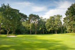 Hole 14 at Addington Palace Golf Club